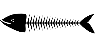 fish bones